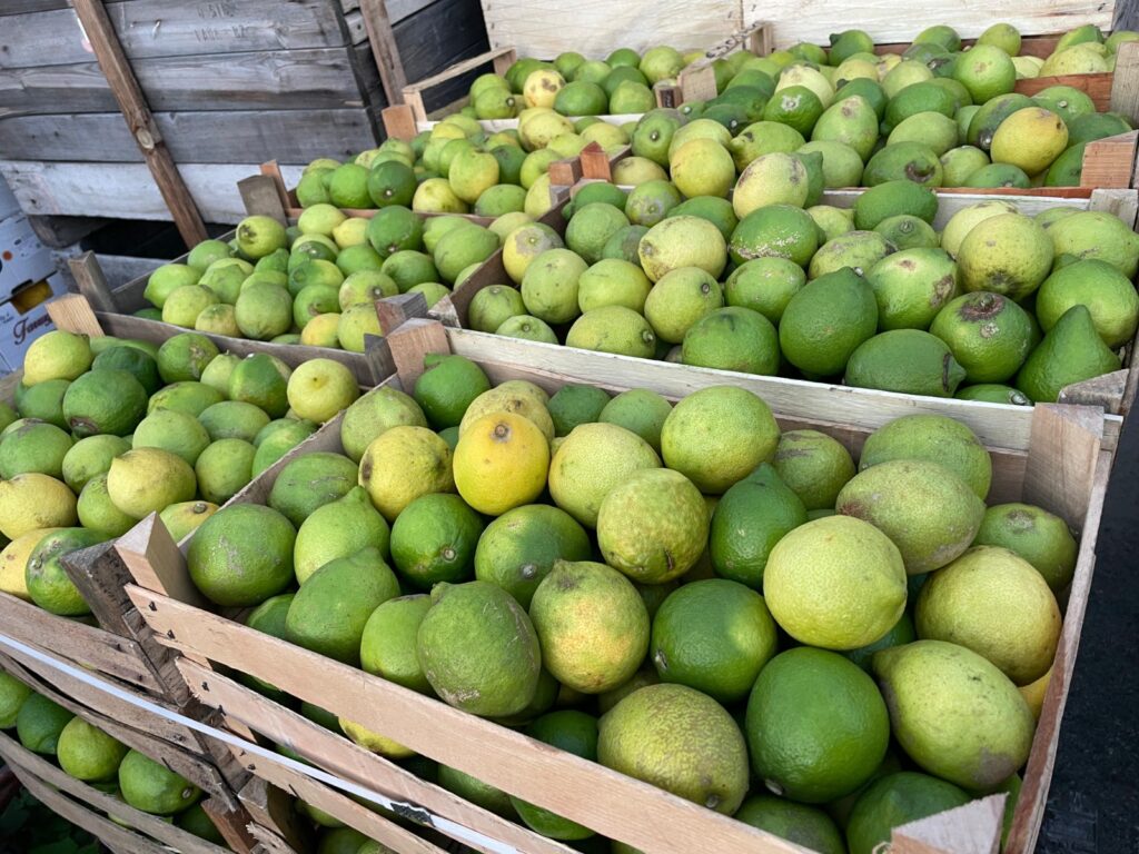 limoni